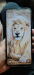 Redmi 10c